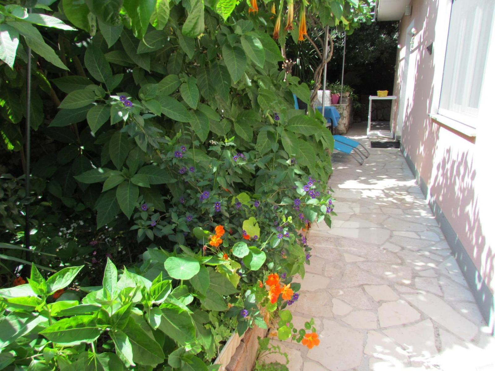 Apartments Bura & Jugo, Cres, Without Stress Экстерьер фото